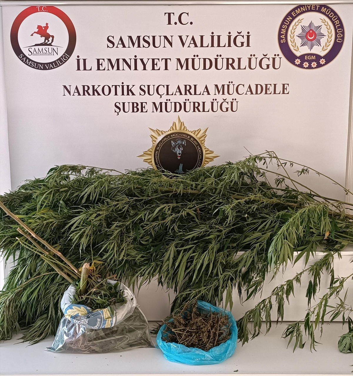 Samsun\'da Esrar Operasyonu: Bir Tutuklama