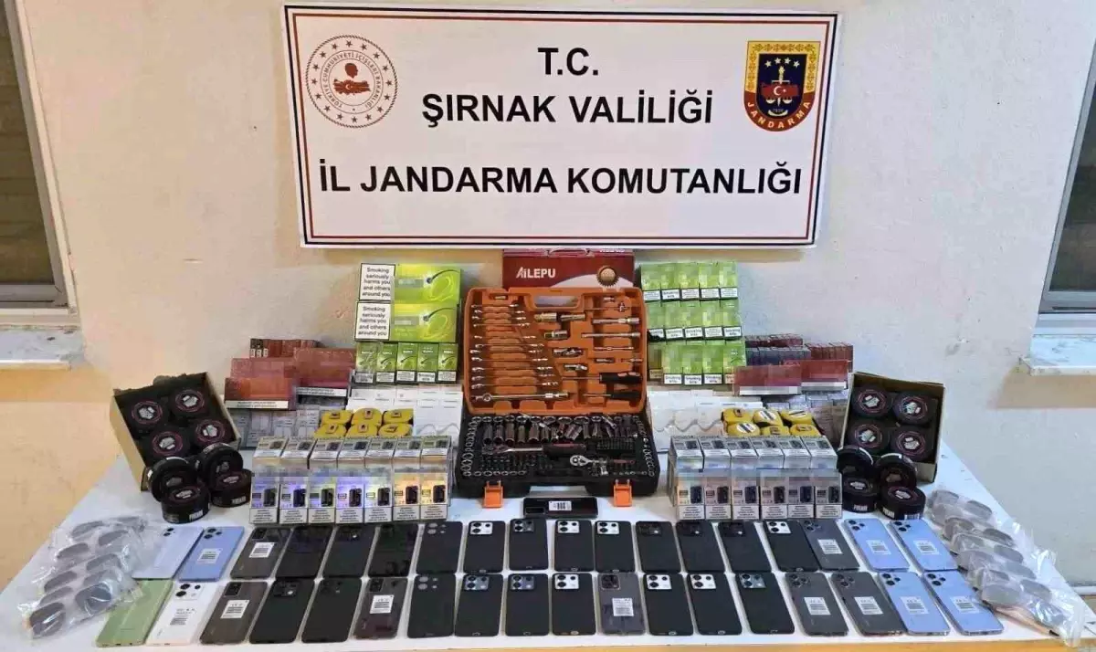 Şırnak\'ta Kaçakçılıkla Mücadele: 12 Gözaltı