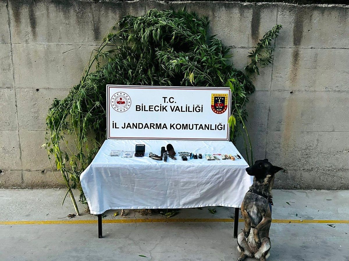 Bilecik\'te Kenevir Yetiştiren Şüpheli Yakalandı