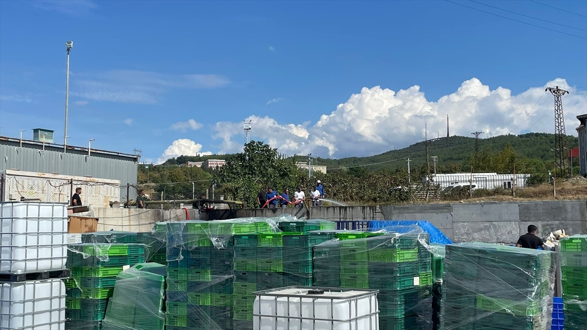Çanakkale\'de Yangın Kontrol Altında