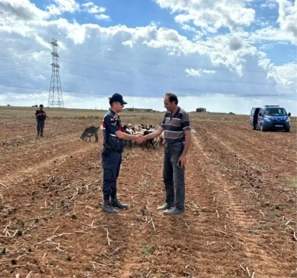 Kırklareli\'nde Kaybolan Hayvanlar Bulundu