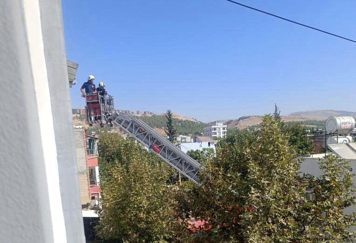 İtfaiye, Mahsur Kalan Güvercini Kurtardı