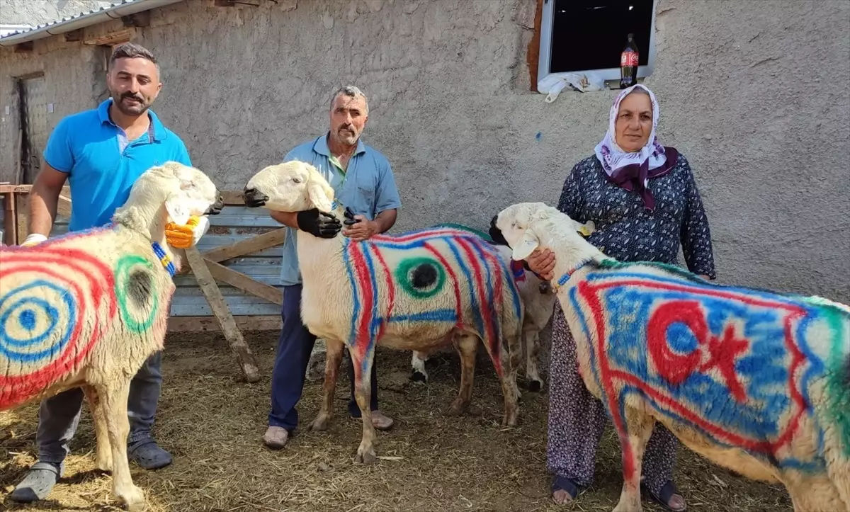 Yaz Koçları Sürüye Katıldı