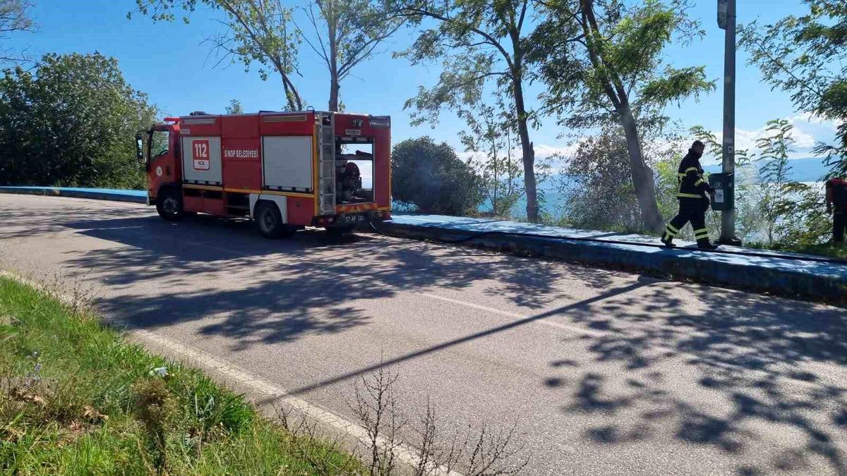 Sinop\'ta Yangın Kontrol Altına Alındı