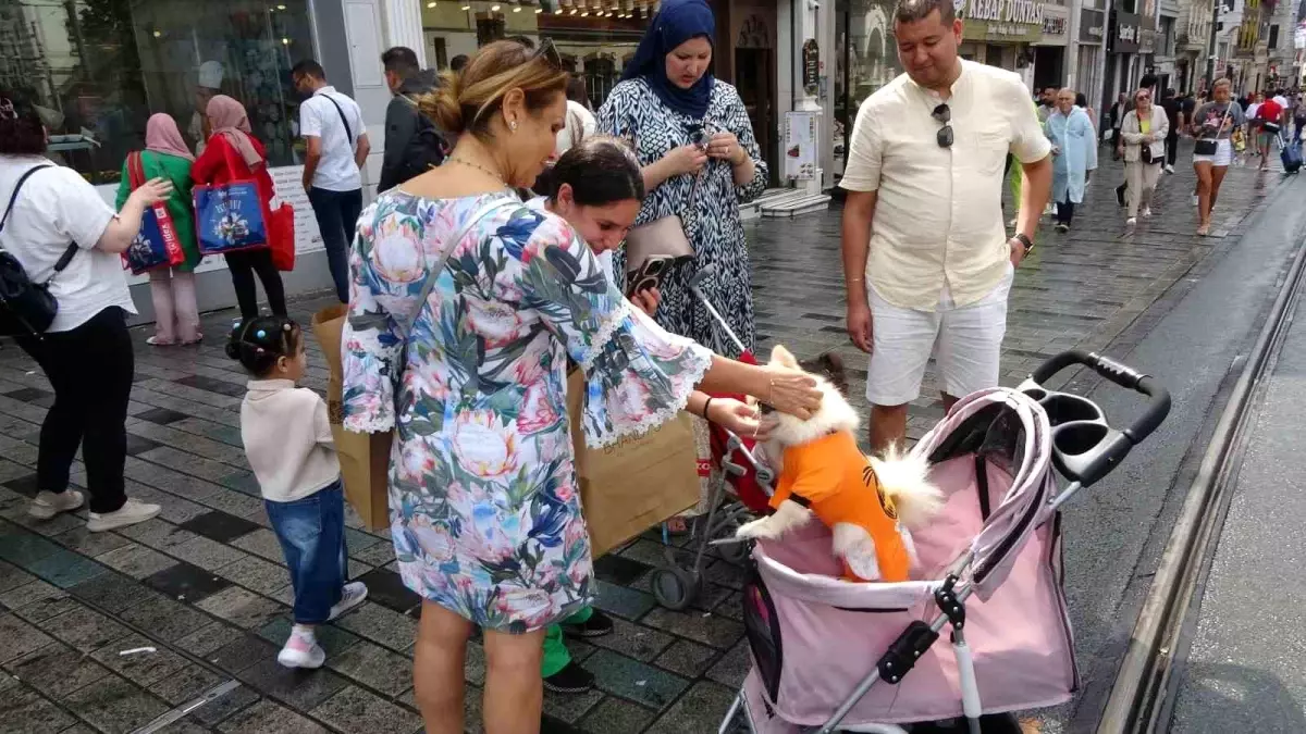 Taksim\'de Bebek Arabasında Köpek İlgi Odağı Oldu