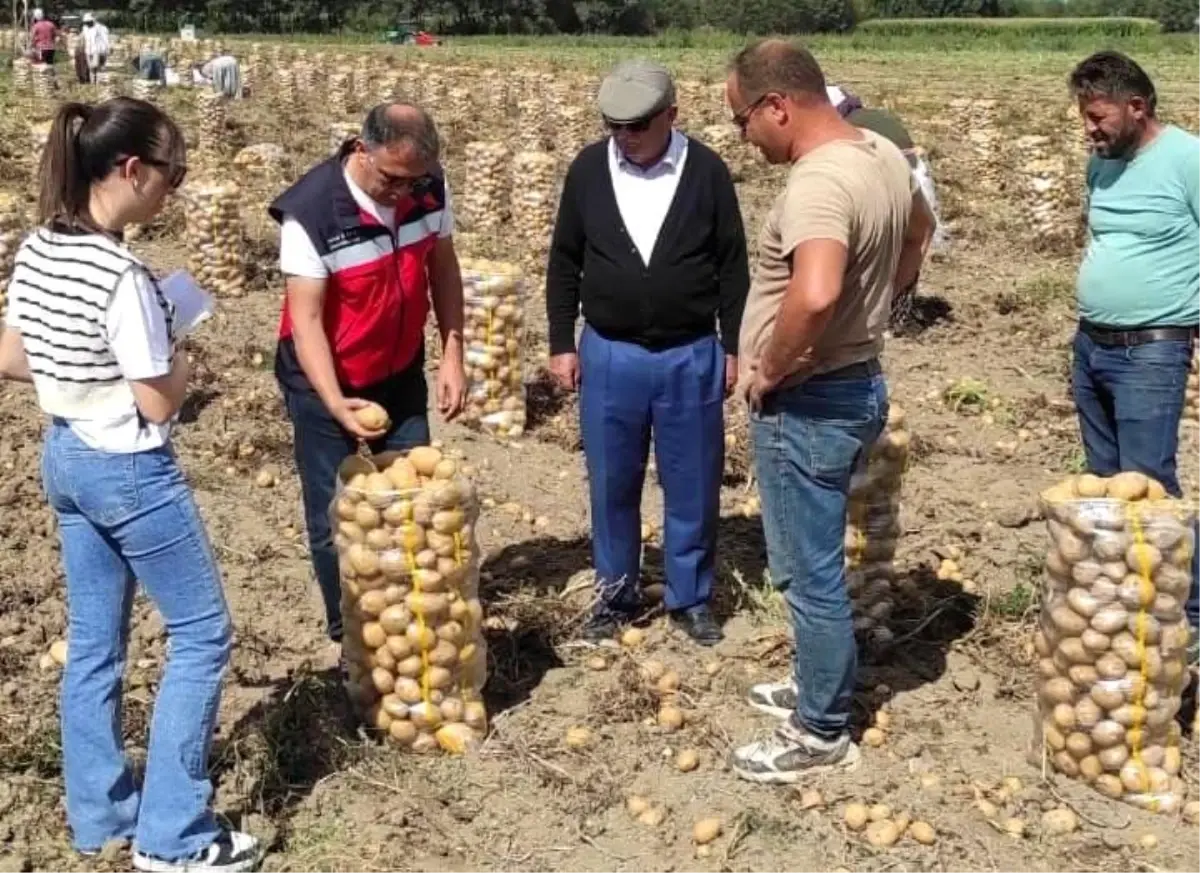 Patates Kontrolleri Başladı