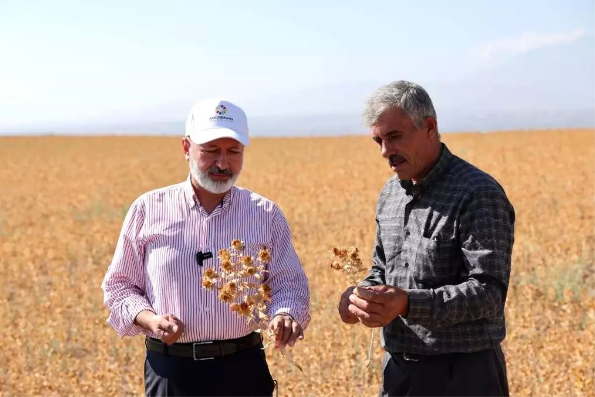 Kocasinan Belediyesi\'nden İhtiyaç Sahiplerine Aspır Yağı Hediye