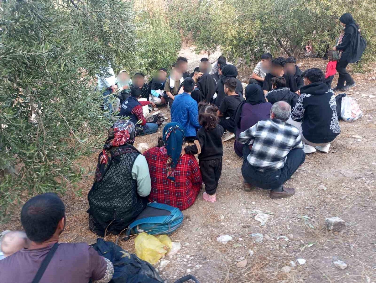 Aydın\'da 70 Düzensiz Göçmen Yakalandı