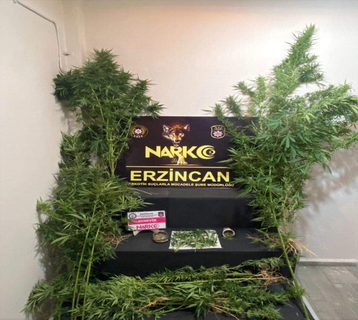 Erzincan\'da Uyuşturucu Operasyonu: 1 Tutuklama