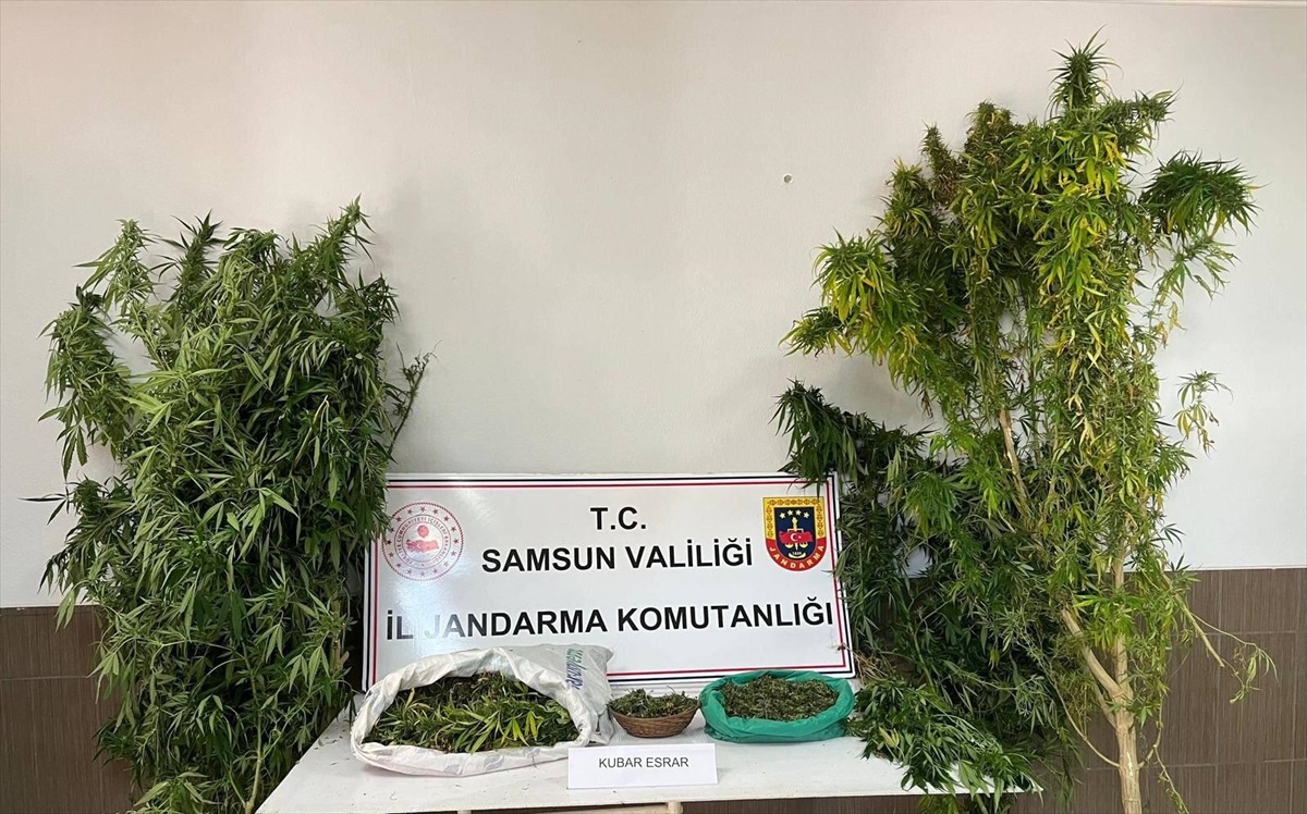 Samsun\'da Uyuşturucu Operasyonu: 1 Gözaltı