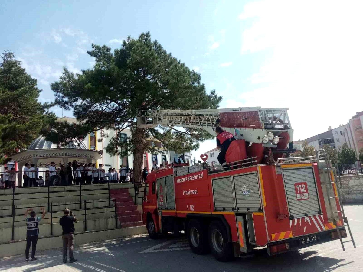 Kırşehir\'de Öğrenci Ağaçta Mahsur Kaldı