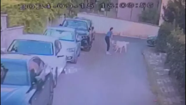 Kangal, sahipli köpeği parçaladı! Sahibi o anlara dayanamayıp kalp krizi geçirdi