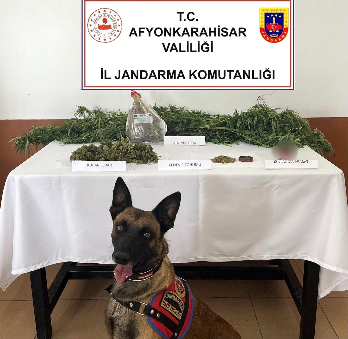 Afyonkarahisar\'da Kenevir Operasyonu