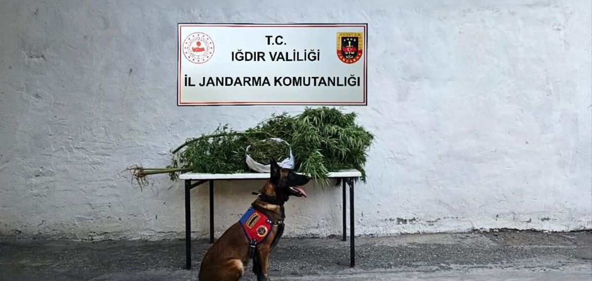 Iğdır\'da Jandarma Uyuşturucu Operasyonu