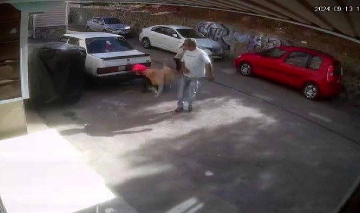 Köpek Saldırısında Yaralanan Çocuktan Flaş Açıklama