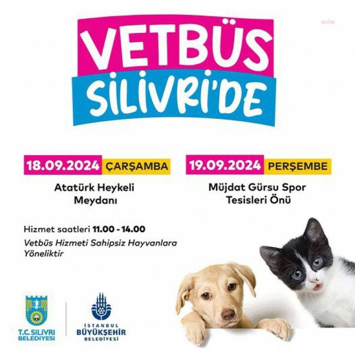 İBB, Sokak Hayvanları İçin Mobil Sağlık Aracı VETBÜS Projesini Başlattı