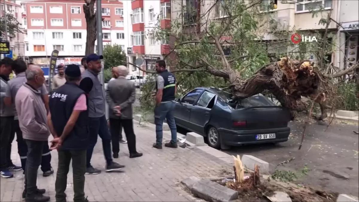 30 Yıllık Ağaç, Park Halindeki Otomobili Hurdaya Çevirdi