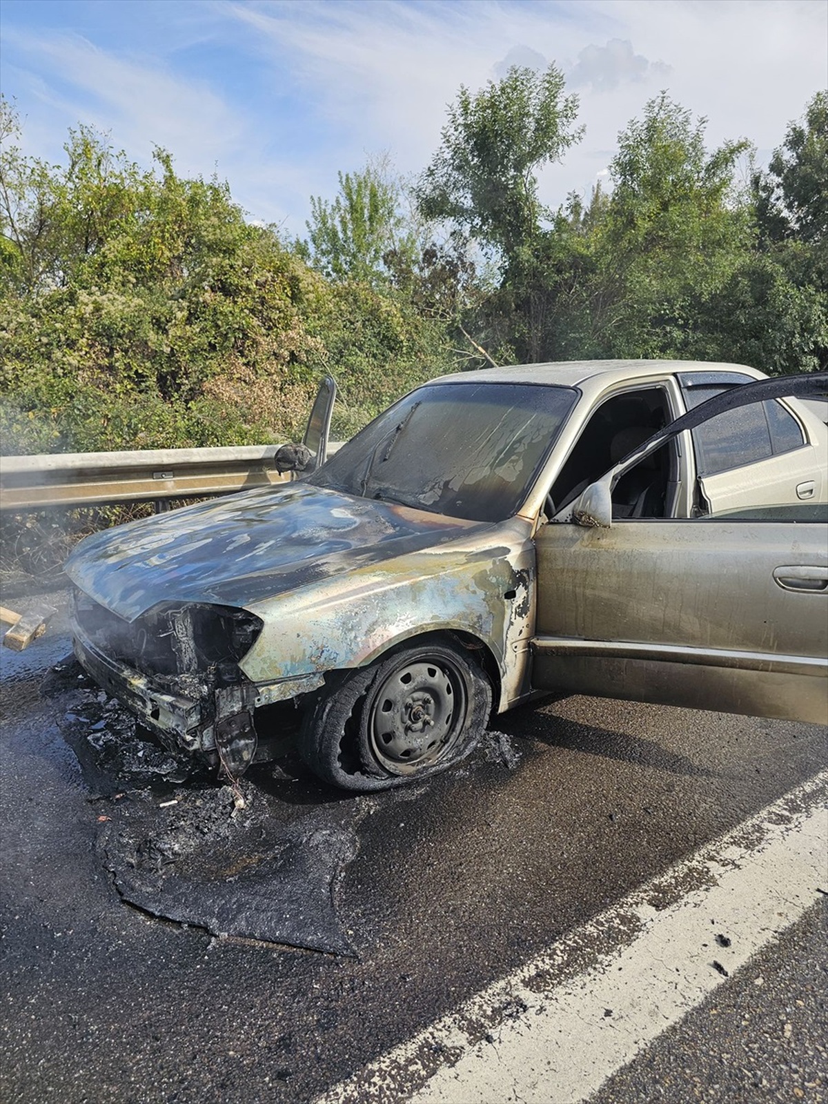 Düzce Otoyolunda Yangın Paniği