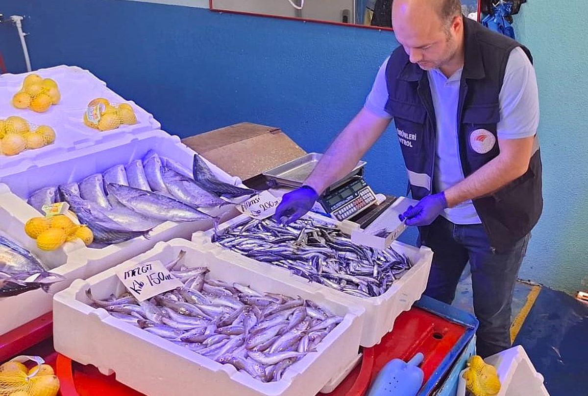 Düzce\'de 78 Su Ürünleri Denetimi Yapıldı