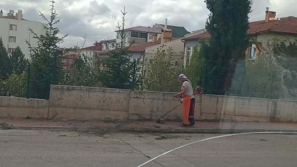 Bilecik\'te \'Temel Trafik ve Bisiklet Kültürü\' Semineri