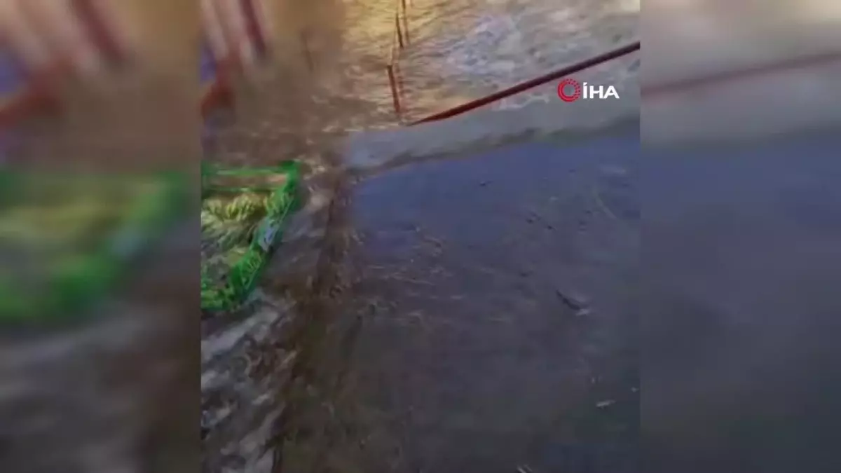 Bodrum\'da Isale Hattı Patladı, Market Sular Altında Kaldı