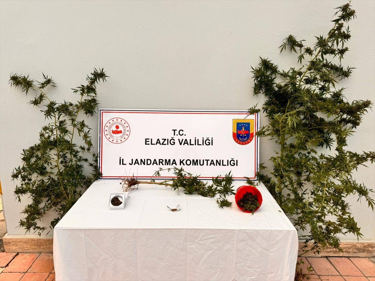 Elazığ\'da Hint Keneviri Eken Şüpheli Gözaltında