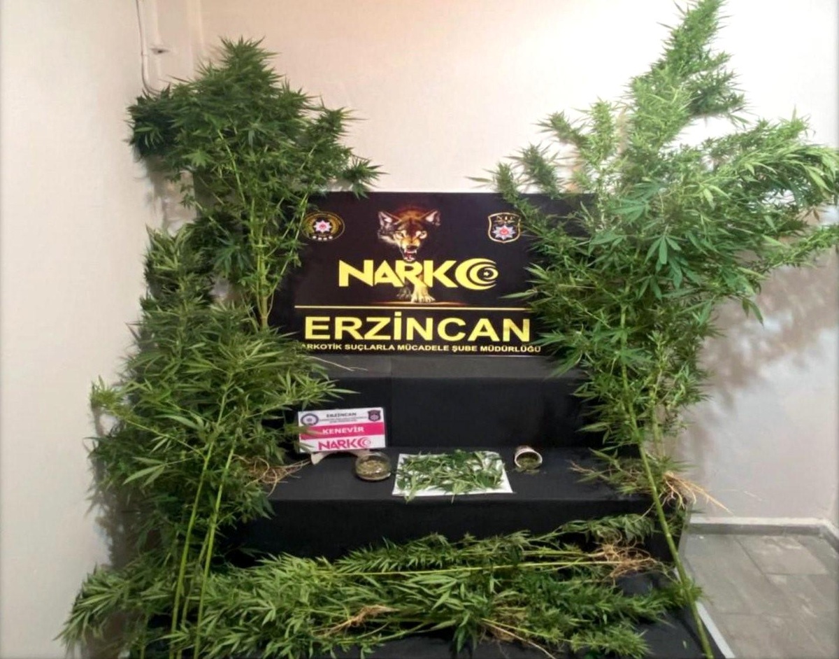 Erzincan\'da Uyuşturucu Ticareti Tutuklaması