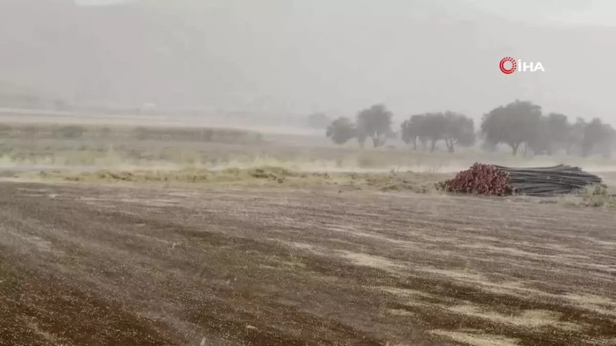 Mazıdağı\'nda Dolu Yağışı Panik Yarattı