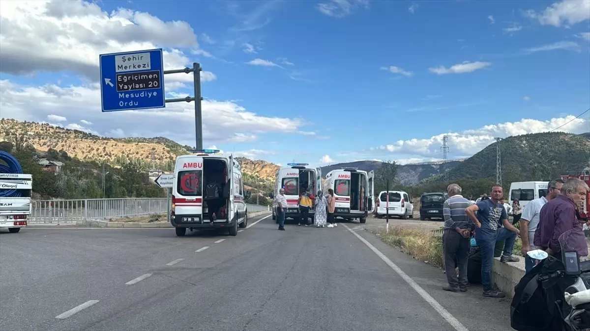 Koyulhisar\'da Minibüs Devrildi: 14 Yaralı