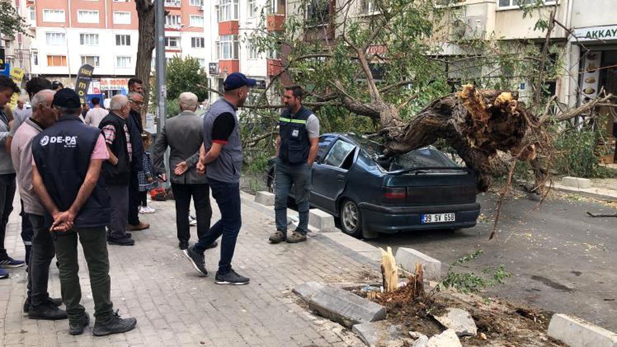 Tekirdağ\'da Ağaç Otomobilin Üzerine Devrildi