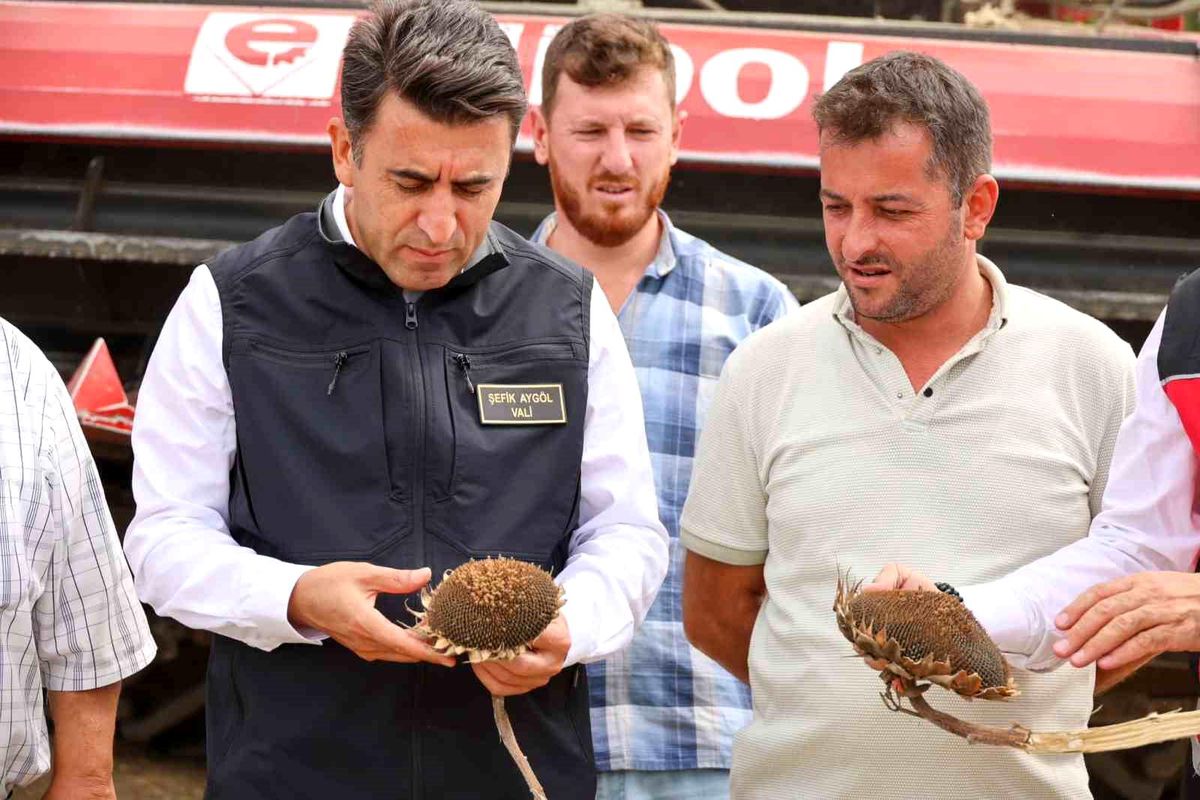 Bilecik\'te Ayçiçeği Rekoltesi Artış Gösterdi