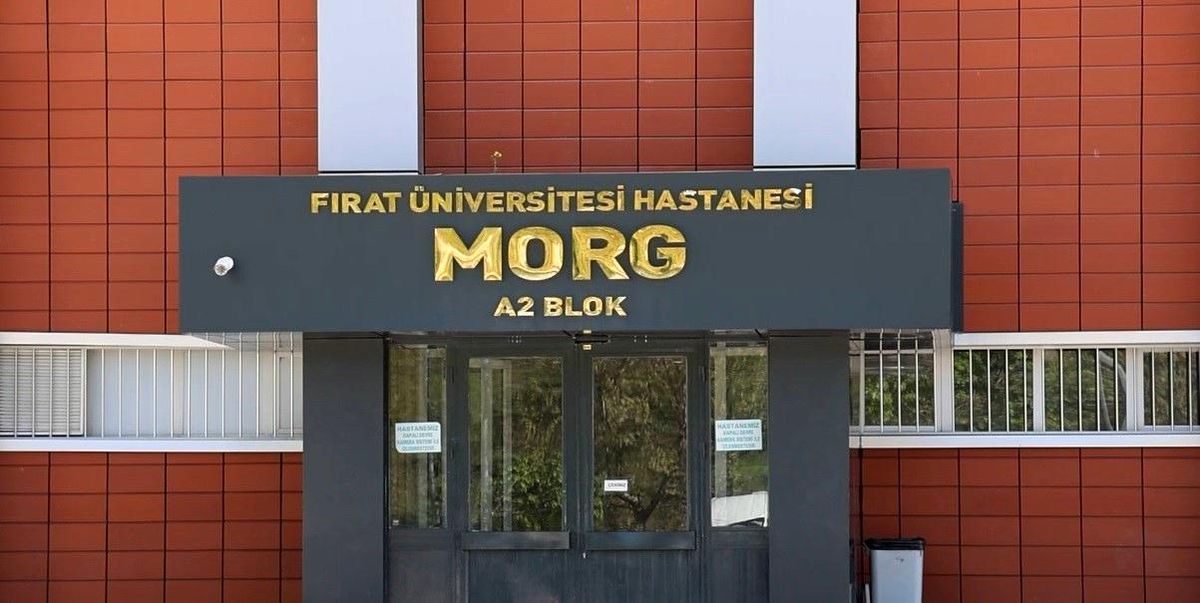 Düğün Konvoyunda Talihsiz Olay