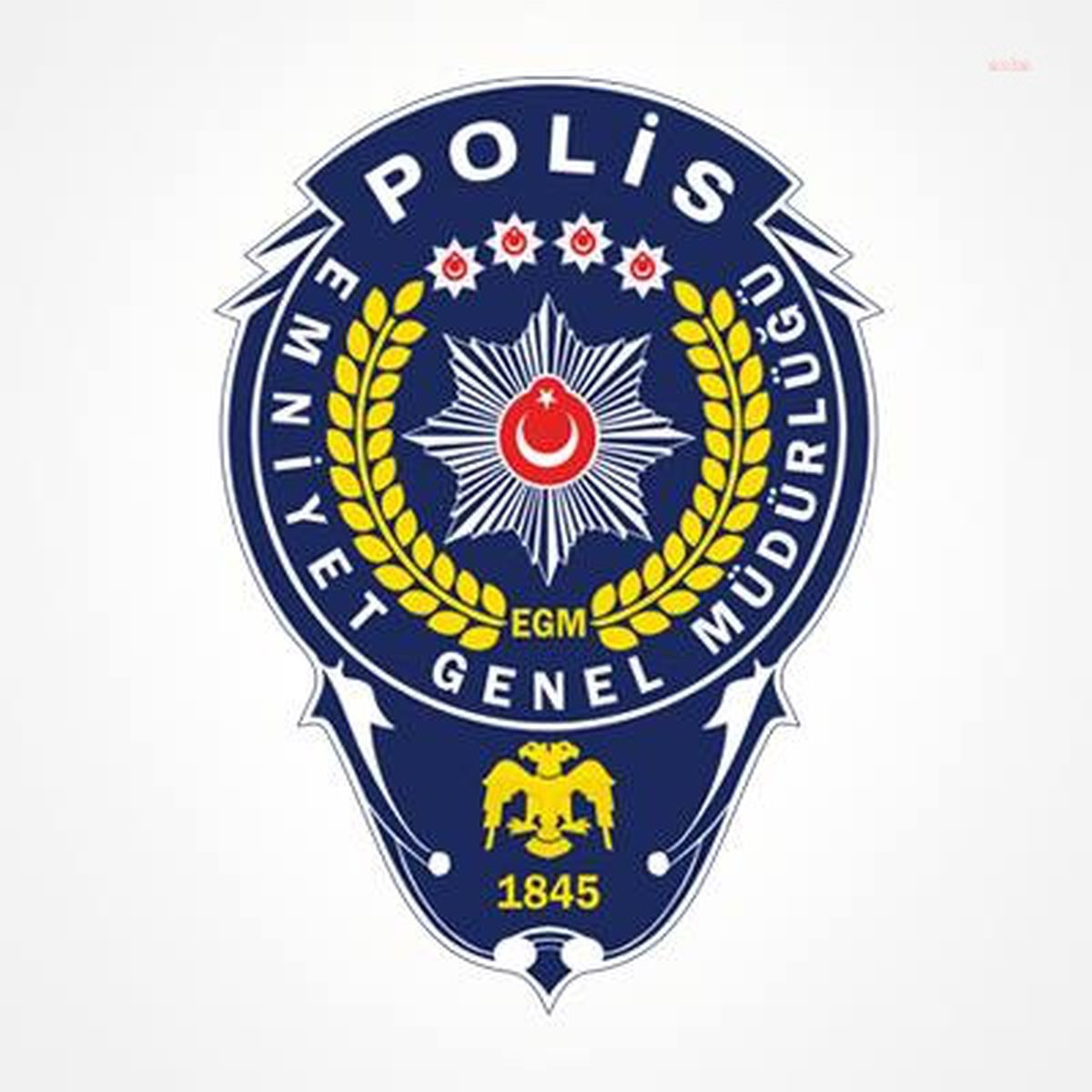 Sakaryaspor Başkanı Darp Edildi, Şahıs Yakalandı