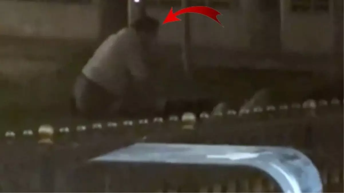 İstanbul\'un göbeğinde mide bulandıran olay! 2 erkek çevredekilere aldırmadan ilişkiye girdi