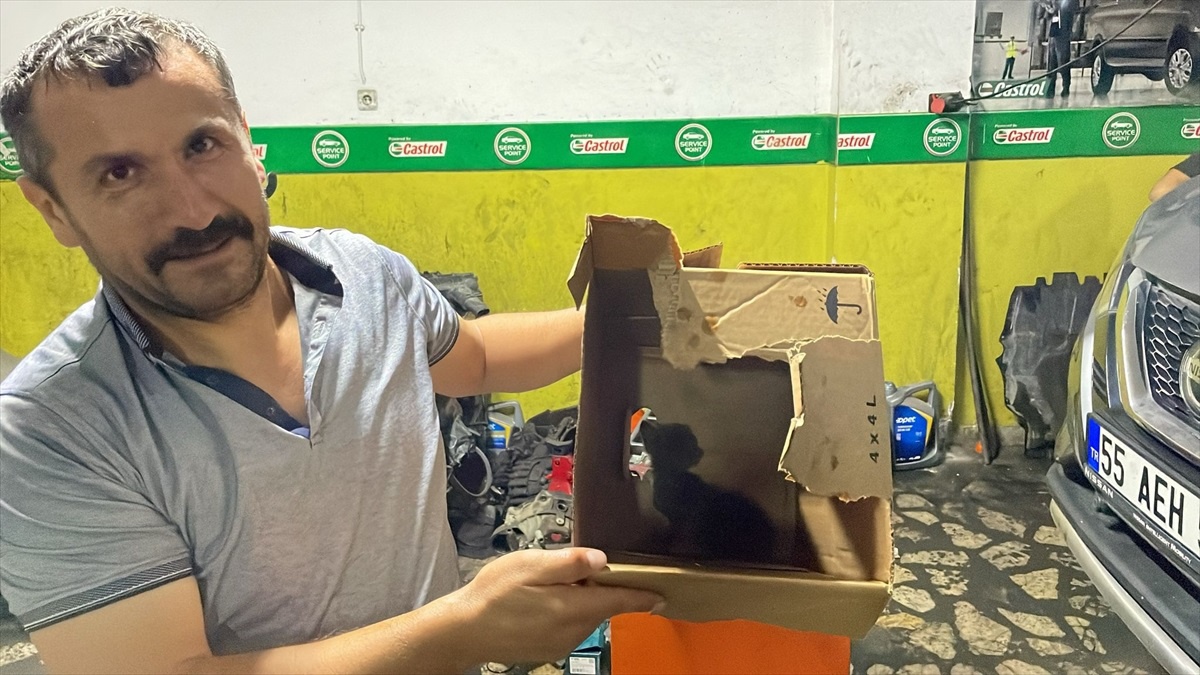 Bafra\'da Motor Bölümünde Sıkışan Kedi Kurtarıldı