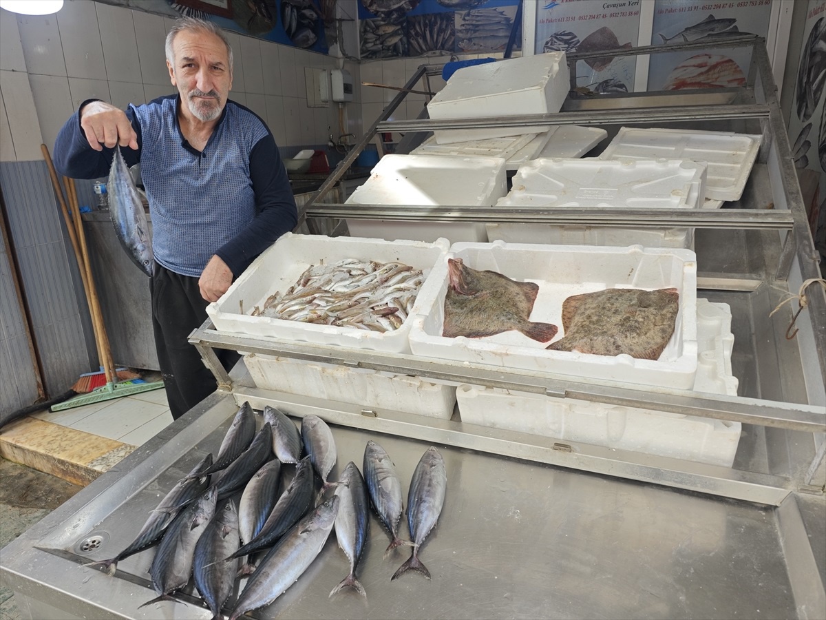 Samsun\'da Balık Tezgahları Boş Kalıyor