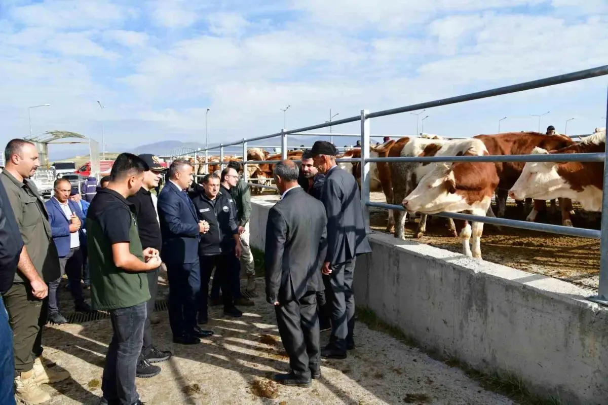 Vali Çiçek\'ten Ardahan Hayvancılığına Destek