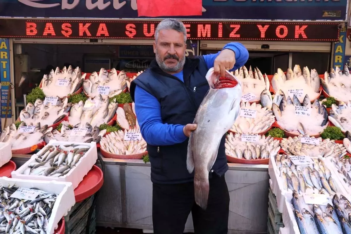 Gaziantep\'te Balık Tüketimi Artıyor