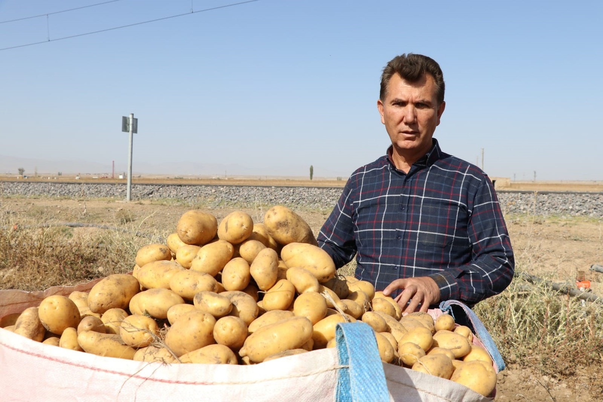 Niğde\'de Patates Hasadı Erken Başladı