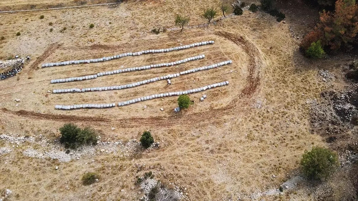 Menteşe\'de Arıcı Yangını Atlatmayı Başardı