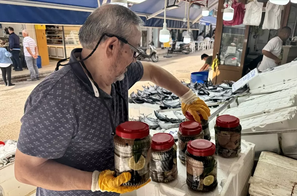 Sinop\'ta Coğrafi İşaretli Lakerda Üretimi Başladı