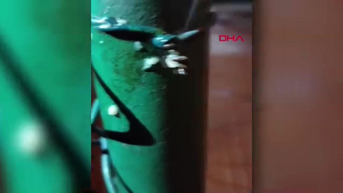 Antalya\'da Basketbol Sahasında Dikenli Tele Takılan Kız Çocuğu Yaralandı