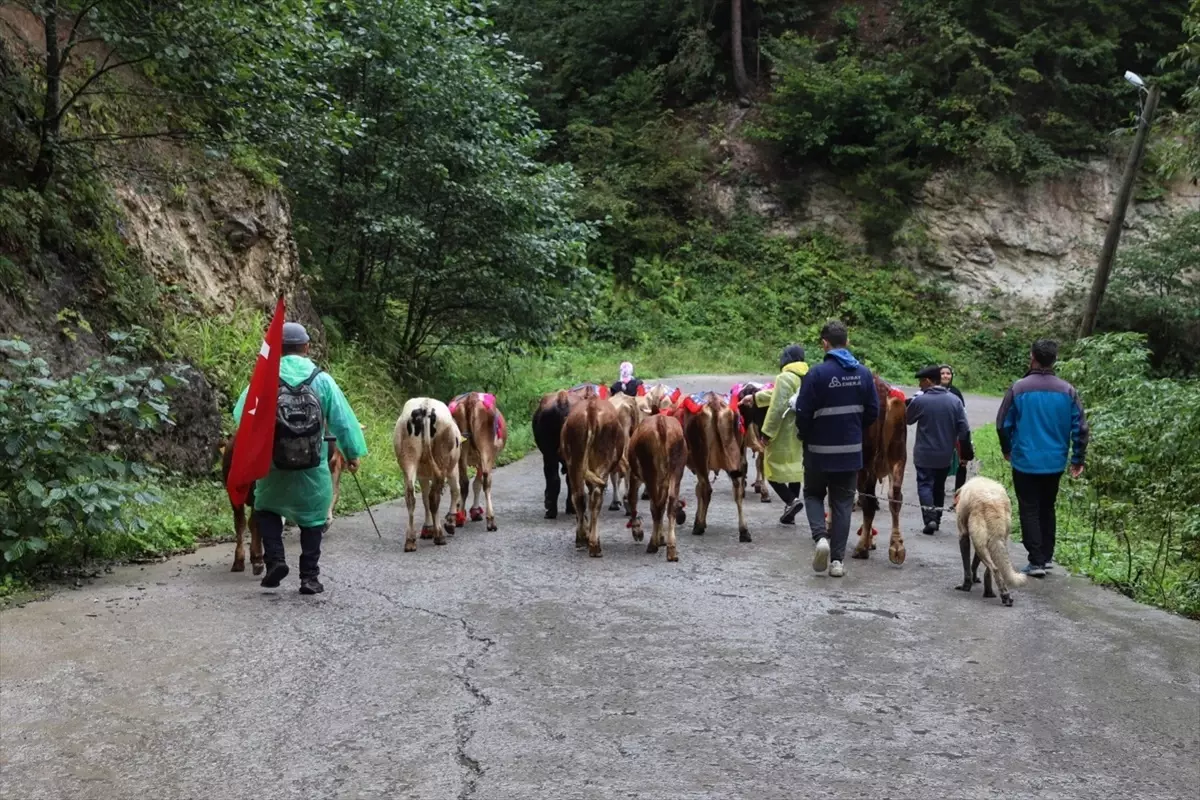 Yayla Sezonu Sona Eriyor