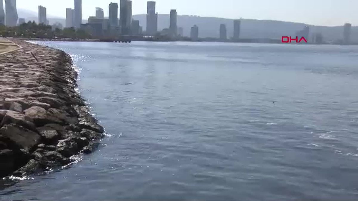 İzmir Körfezi\'nde Balık Tutma İsyanı