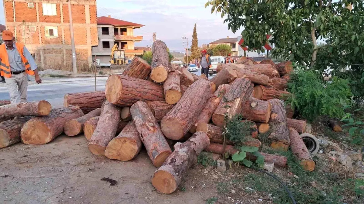 İznik\'te Kamyon Virajı Alamadı, Tomruklar Yola Saçıldı