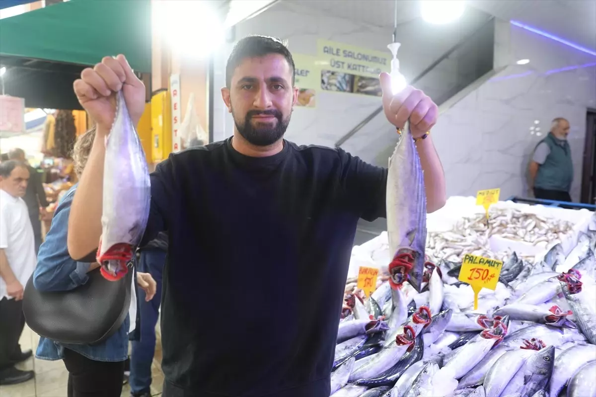 Samsun\'da Palamut Fiyatları Artıyor