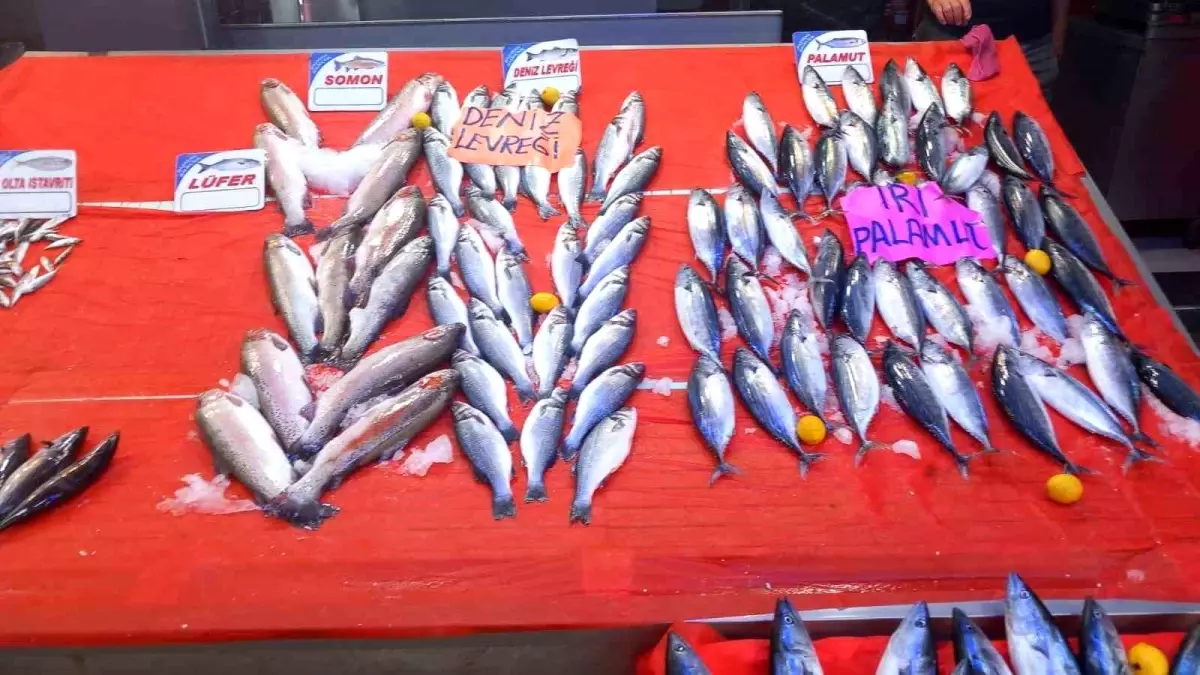 Palamut Fiyatları 150 TL\'ye Yükseldi