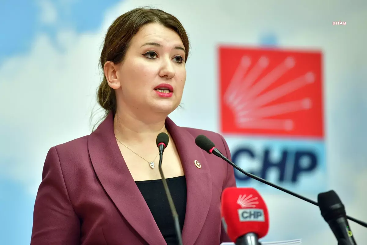 CHP\'li Gökçen: Adalet ve İnfaz Sistemi İşlemiyor