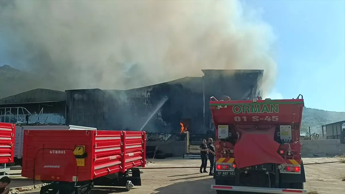 Kozan\'da Narenciye Tesisinde Yangın