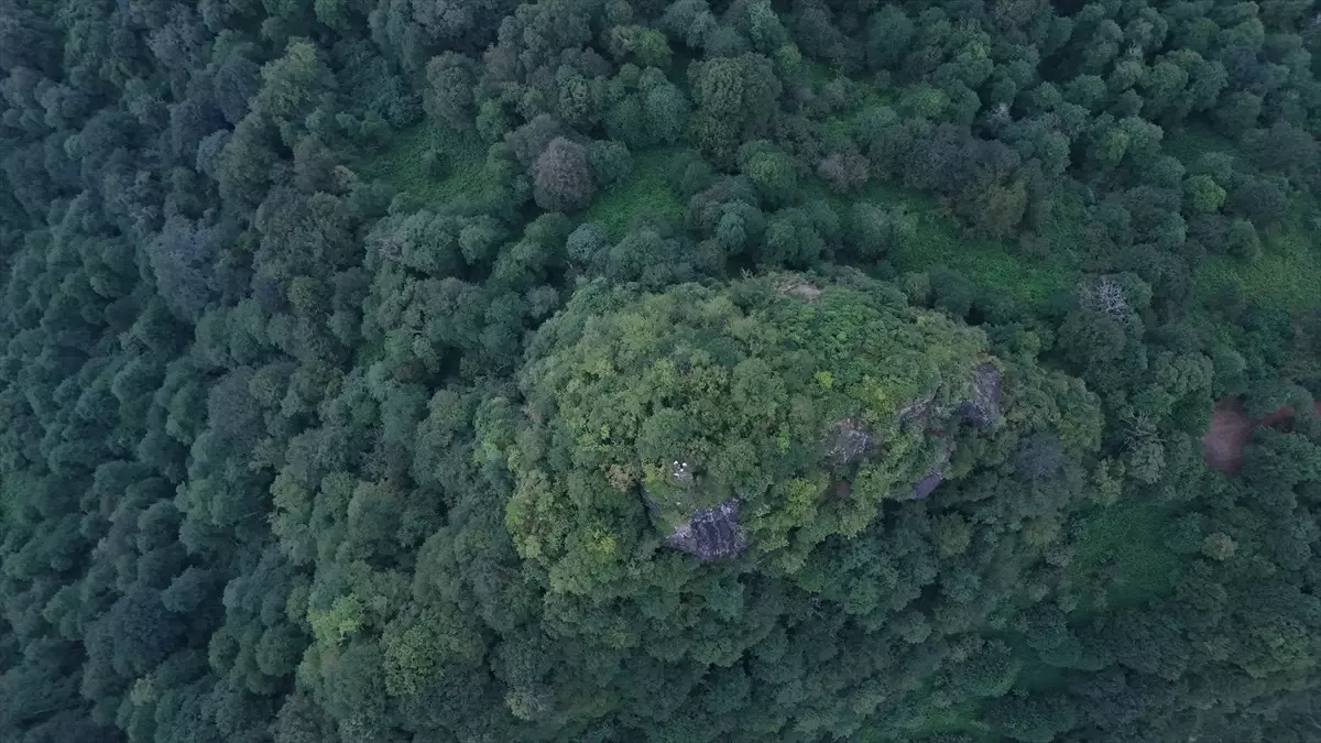 Artvin\'de Arkeolojik Kazılar Jeoradarla Görüntülendi